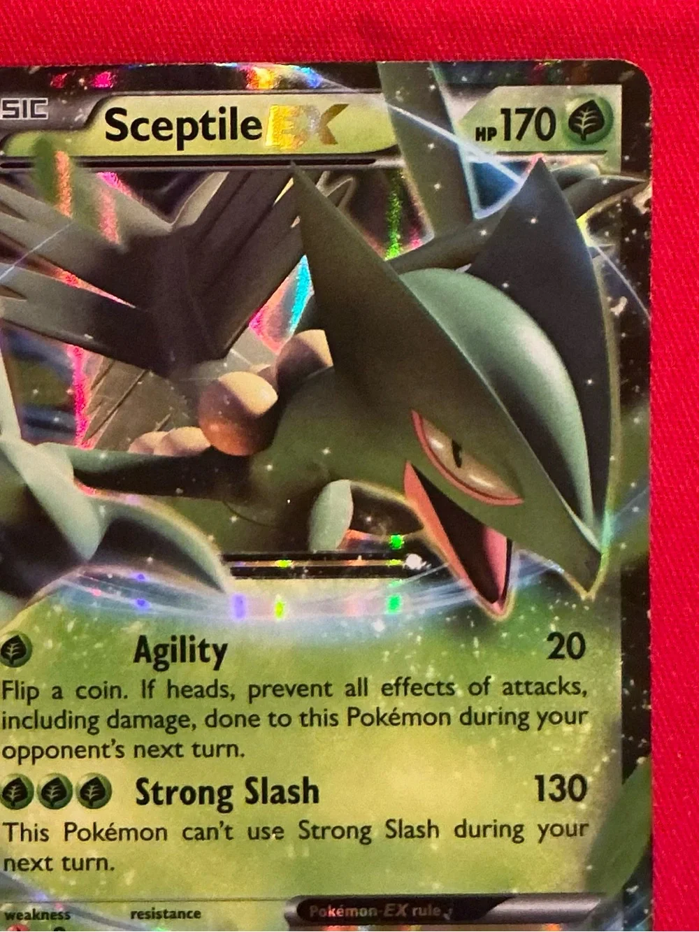 The Pokémon Company Pokémon TCG Sceptile EX XY53 XY Holo Promo English 2015 170